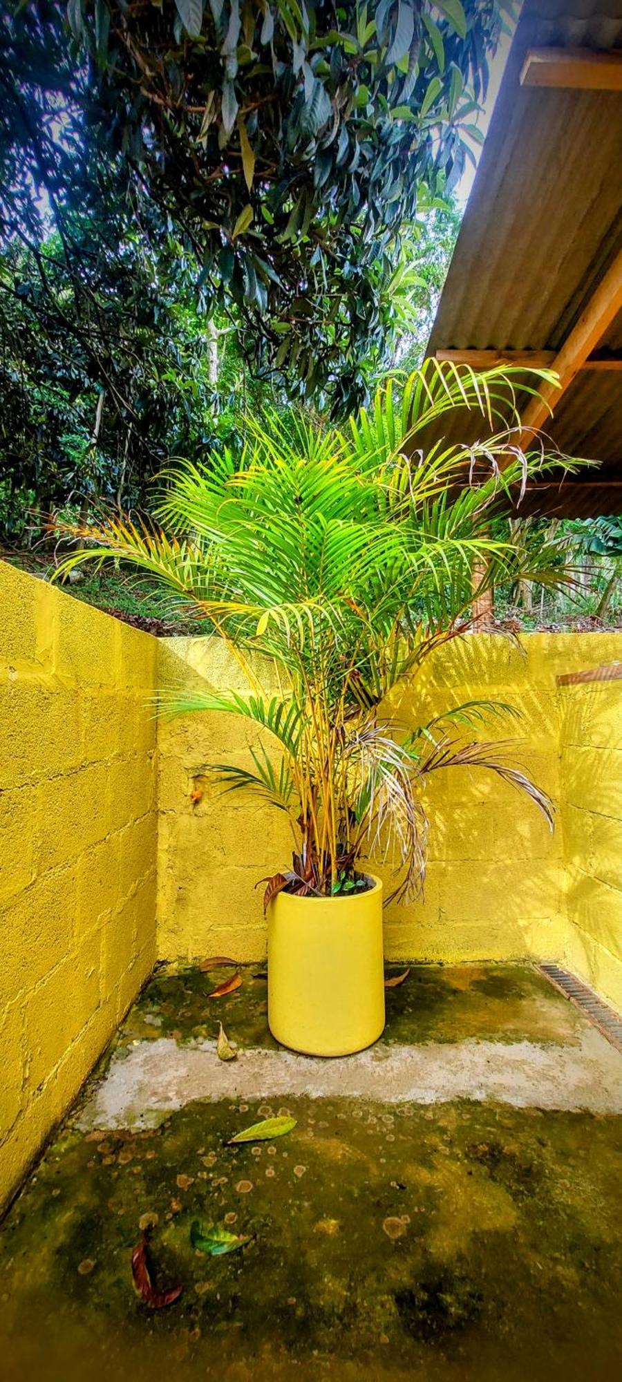 Rancho Acacia Sao Roque Hotel Eksteriør billede